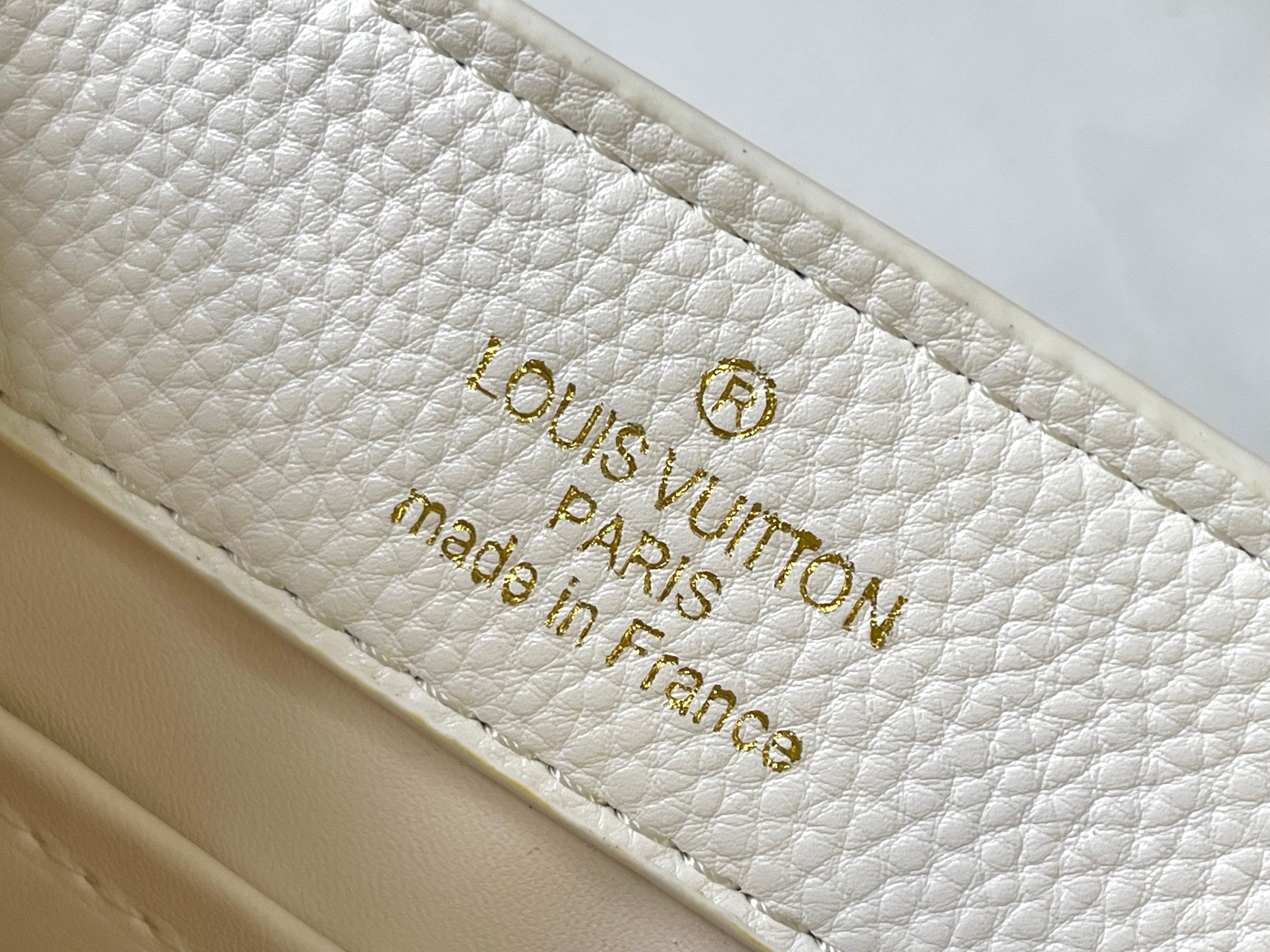 LOUIS VUITTON | Capucine mini