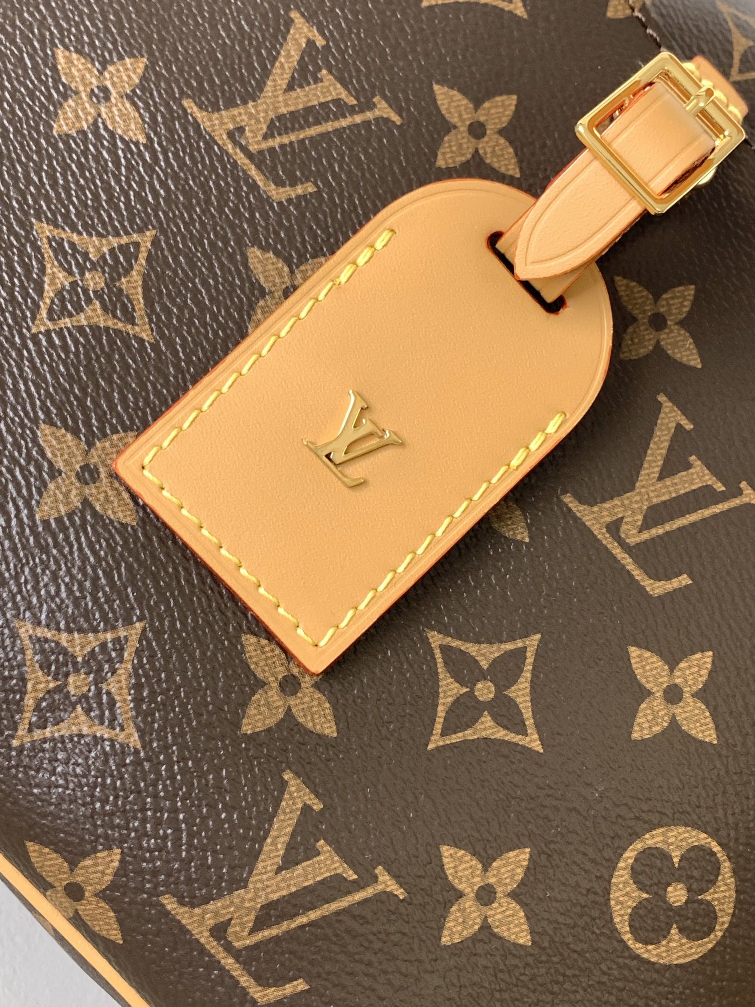 LOUIS VUITTON | Odéon MM